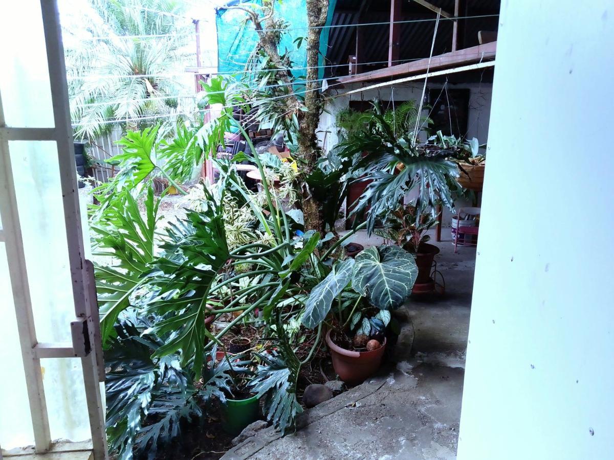 Alexander B&B Alajuela ภายนอก รูปภาพ
