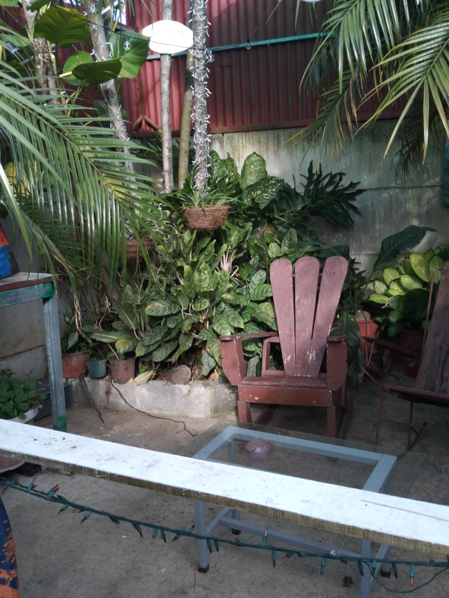 Alexander B&B Alajuela ภายนอก รูปภาพ