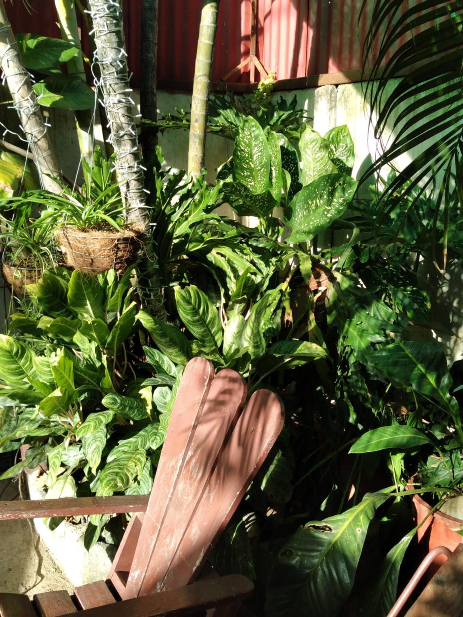 Alexander B&B Alajuela ภายนอก รูปภาพ